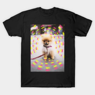 Pomeranian puppy T-Shirt